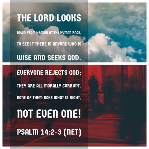 Bible Verses Psalms Net Msg Flashcards Quizlet