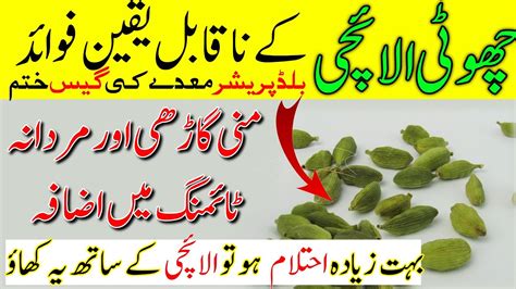 Green Cardamom Health Benefits In Urdu Hindi Choti Elaichi Khane Ke