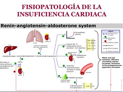 Insuficiencia Card Aca Insuficiencia Cardiaca Heart Failure Icd