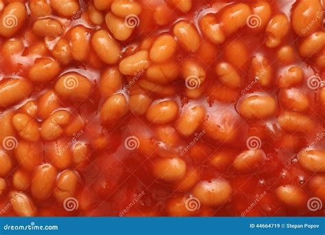 Baked Beans In Tomato Sauce Stock Image Image Of Sauces Close