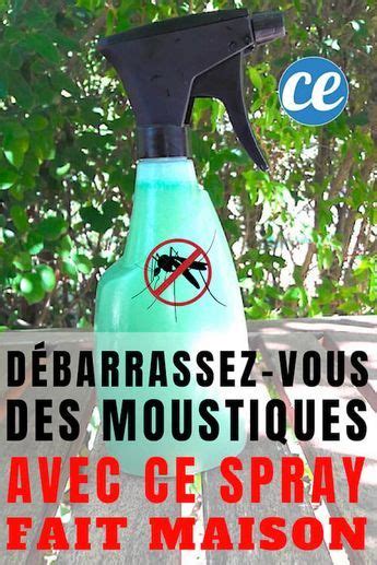 D Barrassez Vous Des Moustiques Dans Le Jardin Avec Ce Spray Fait