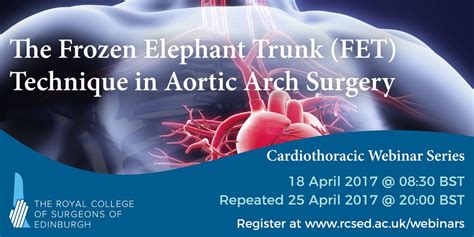 The Frozen Elephant Trunk (FET) Technique in Aortic Arch Surgery ...