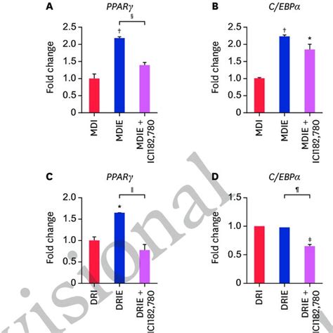 Effect Of Estrogen On The Mrna Expression Of Transcription Factors