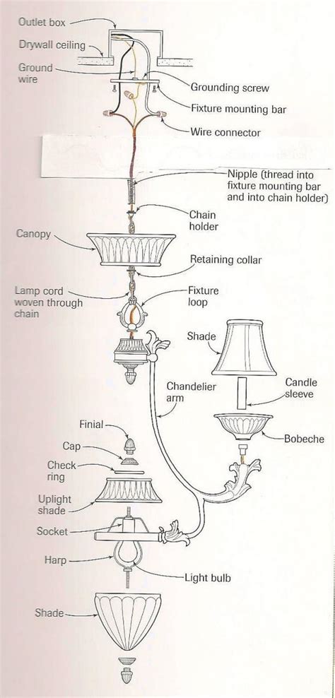 Wiring A Chandelier Diagram For You Safetopy