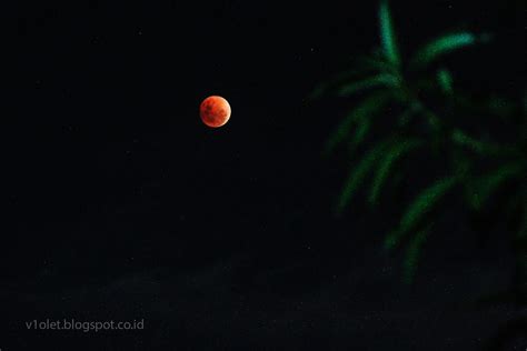 Super Blood Moon Cw Super Blood Moon January Flickr