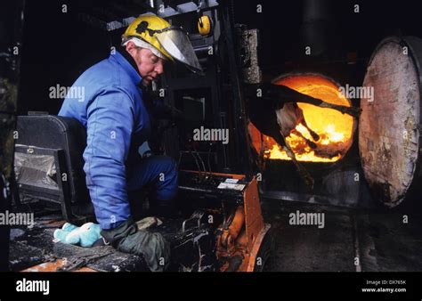 La Incineraci N Del Cad Ver De Vaca Con Sospecha De Eeb La Enfermedad