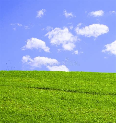 Grassy Green Hill Royalty Free Stock Images Image 14067699