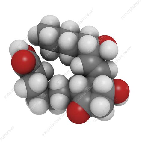 Prostaglandin E1 drug molecule - Stock Image - F007/0178 - Science ...