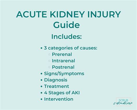 Acute Kidney Injury AKI Nursing Study Guide Digital - Etsy