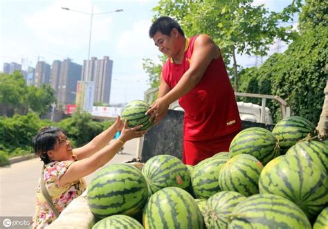 6月西瓜上市，瓜農不賺錢，顧客吃不起，那錢被誰賺了？ 每日頭條