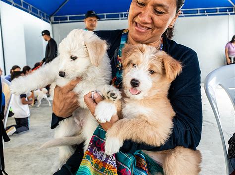 En Guayarte se realizará feria de adopción de cachorros Alcaldía de