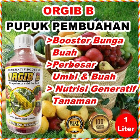 Jual Orgib B Merah Liter Pupuk Masa Pembuahan Npk Cair Booster Buah