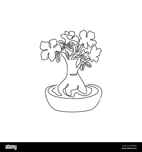 Single Continuous Line Drawing Fresh Beauty Potted Adenium For Garden