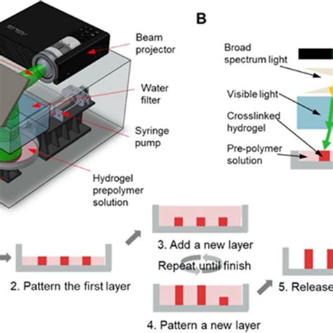 Schematic Of Extrusion Based 3D Printing Using Various Crosslinking