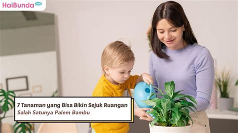 7 Tanaman Yang Bisa Bikin Sejuk Ruangan Salah Satunya Palem Bambu