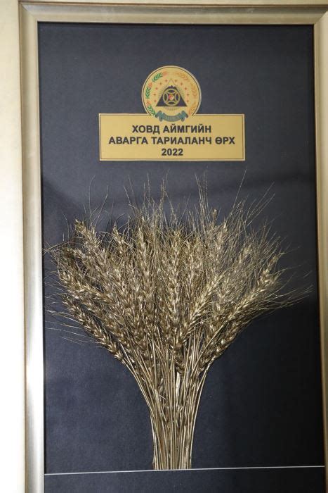 Ховд аймгаас Улсын хошой аварга малчин, аварга малчин 10, аварга ...