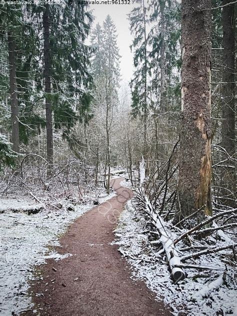 Kuva Ulkoilureitti Pitkäkosken luonnonsuojelualueella Pitkäkoski