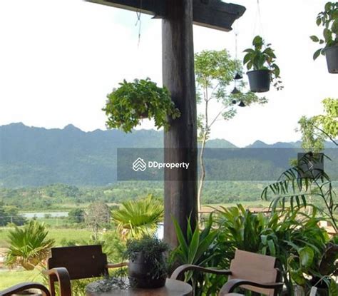 Phu Patra Khao Yai ภูภัทรา เขาใหญ่ ขายและให้เช่า Update