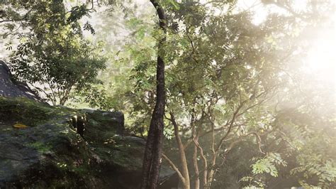 Sunlight Peering Through Dense Jungle Foliage At Dawn 40718853 Stock