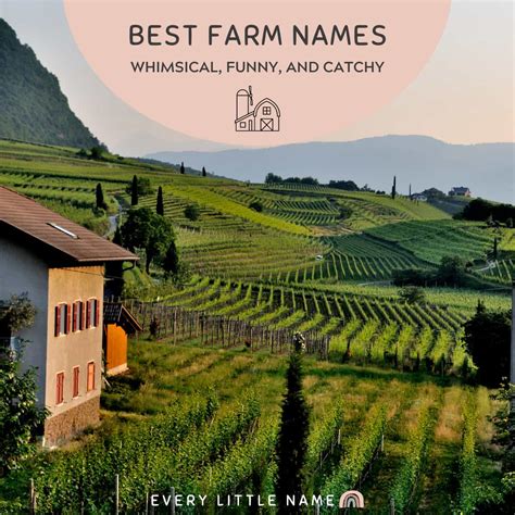 120+ Best Farm Names (Whimsical, Funny, and Catchy) - Every Little Name