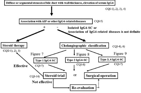 Algorithm For Diagnosis And Treatment Of Igg Sc Referred From