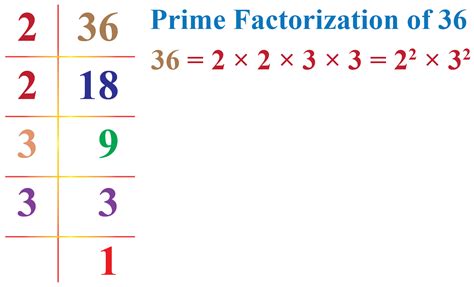 Practice Questions For Prime Factorization