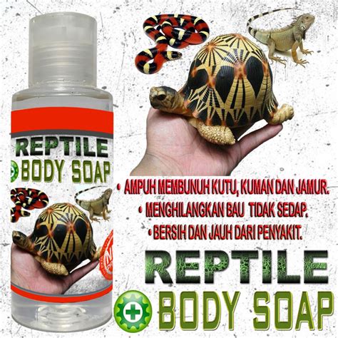 Jual Reptile Body Soap Sabun Reptil Sulcata Sulkata Aldabra Instar