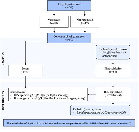 Figure 1 From First Void Urine As A Non Invasive Liquid Biopsy Source