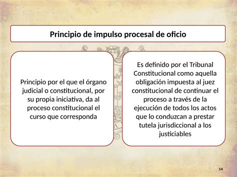 Clase Alcances Y Fines De Los Procesos Constitucionales Y Principios