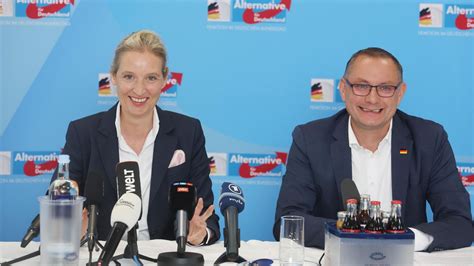 Afd Legt Sofortprogramm Für Afd Geführte Bundesregierung Vor Sternde