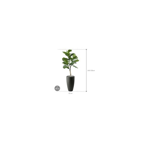 Ficus Lyrata Elho Pure Soft Rond Hoog Antraciet Kunstplant Eenvoudig