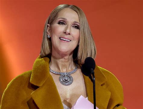 Céline Dion Receives Standing Ovation At 2024 Grammys Purewow