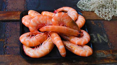 ‘whitsunday Wild Eastern King Prawn Fishi