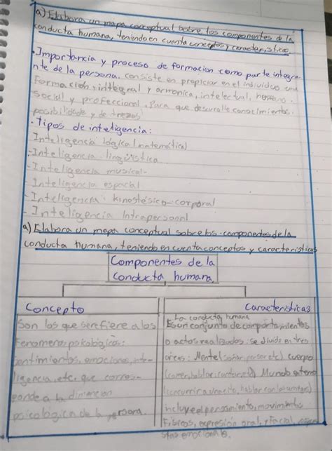 A Elabora Un Mapa Conceptual Sobre Los Componentes De La Conducta Humana Teniendo En Cuenta