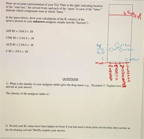 Solved Draw An Accurate Representation Of Your Tlc Plate To