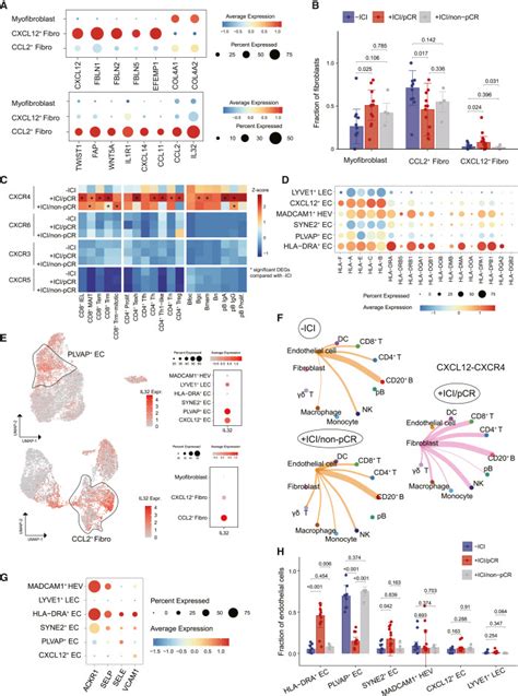 Remodeling Of The Immune And Stromal Cell Compartment By PD 1 Blockade