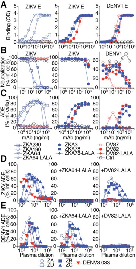 Neutralization And Enhancement Of Zikv And Denv Infection By Mabs And