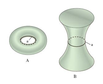 Gola Enciclopedia Treccani