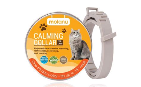 The Best Cat Calming Collars in 2022 | My Pet Needs That