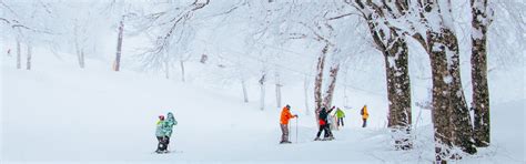 8 Day Tokyo Highlights And Nagano Skiing Tour