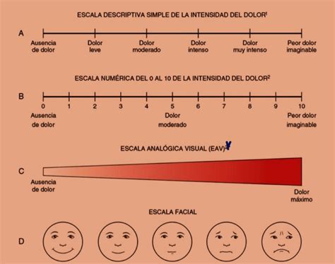 Escala De Valoraci N Del Dolor En Pacientes Con Deterioro Cognitivo