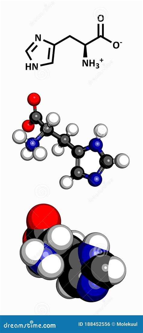 Histidine His H Amino Acid Molecule Stock Photography