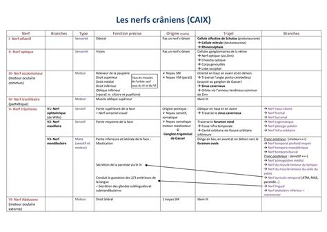 Les nerfs crâniens CAIX