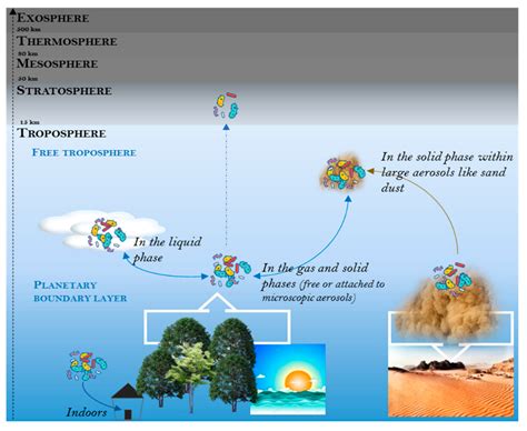 Atmosphere Free Full Text Microbial Ecology Of The Planetary