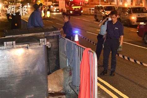 大圍有野豬卡住欄杆受傷 消防救出 2215 20231028 港聞 即時新聞 明報新聞網