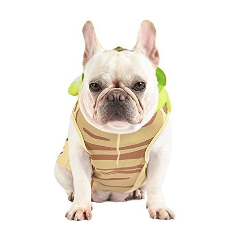 Star Wars Yoda Costume for Dogs, Extra Small (XS) | Hooded and ...