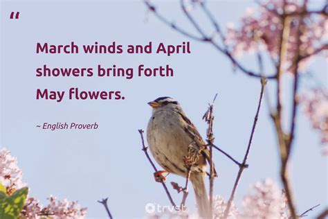 50 March Quotes And Sayings To Welcome The Warmer Weather