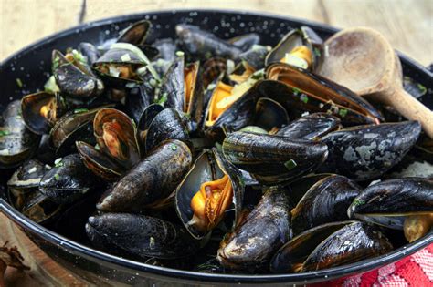 Leclerc Rappel Massif De Moules Dans Toute La France Leur Date De