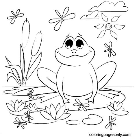 Frog to color - Frog Coloring Pages - Coloring Pages For Kids And Adults
