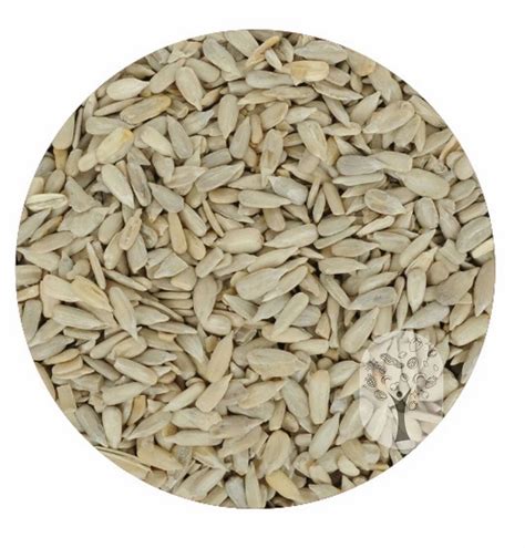 White Fb Sun Natural Sunflower Seeds Loose At Rs Kg In